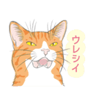 いつも猫と（個別スタンプ：36）