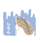 いつも猫と（個別スタンプ：39）