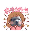 ほんわか癒やしのわんこスタンプ（個別スタンプ：1）
