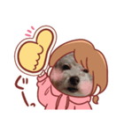 ほんわか癒やしのわんこスタンプ（個別スタンプ：7）
