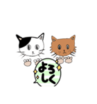 仲良し猫家（個別スタンプ：1）