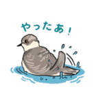 日々を彩る野鳥たち（個別スタンプ：3）