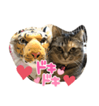あんずちゃん 1（個別スタンプ：2）