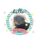 あんずちゃん 1（個別スタンプ：6）