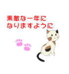 甘えたがり三毛の子猫（個別スタンプ：24）