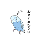 わがままインコのアクアくん（個別スタンプ：11）