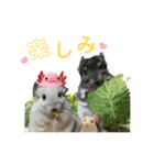 ベッカム＆ととの日常スタンプ♡（個別スタンプ：2）