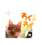 きよみ猫（個別スタンプ：3）