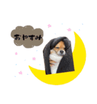 ぼく、りるくん。（個別スタンプ：2）