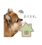 ぼく、りるくん。（個別スタンプ：8）