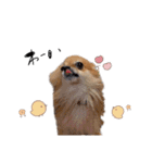 ぼく、りるくん。（個別スタンプ：10）