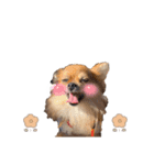 ぼく、りるくん。（個別スタンプ：12）