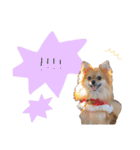 ぼく、りるくん。（個別スタンプ：15）