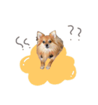 ぼく、りるくん。（個別スタンプ：16）