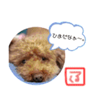 Yuzu'Suzu_tanp（個別スタンプ：17）