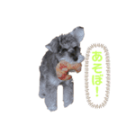 しゅしゅな（個別スタンプ：6）