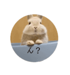 zesuすたんぷ。（個別スタンプ：1）