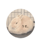 zesuすたんぷ。（個別スタンプ：5）