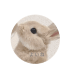 zesuすたんぷ。（個別スタンプ：6）