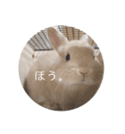 zesuすたんぷ。（個別スタンプ：7）