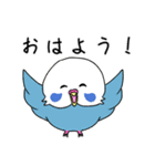 イマドキインコ（個別スタンプ：1）