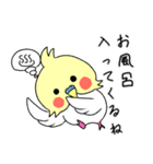 イマドキインコ（個別スタンプ：15）