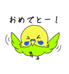 イマドキインコ（個別スタンプ：20）