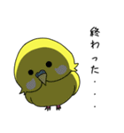 イマドキインコ（個別スタンプ：33）