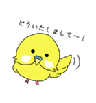 イマドキインコ（個別スタンプ：39）