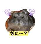 僕はイケメンのマロ！（個別スタンプ：2）