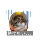 僕はイケメンのマロ！（個別スタンプ：3）
