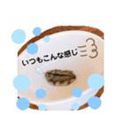僕はイケメンのマロ！（個別スタンプ：4）
