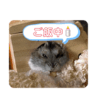 僕はイケメンのマロ！（個別スタンプ：7）
