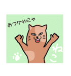 ねこにゃーんこスタンプ（個別スタンプ：10）