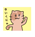 ねこにゃーんこスタンプ（個別スタンプ：29）