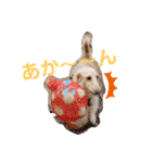 我が家のソラちゃん③（個別スタンプ：23）