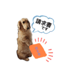 我が家のソラちゃん③（個別スタンプ：31）