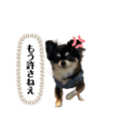 スーパーまめ太スペシャル（個別スタンプ：4）