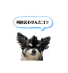 スーパーまめ太スペシャル（個別スタンプ：8）