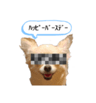 スーパーまめ太スペシャル（個別スタンプ：10）