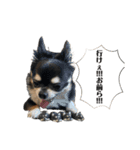 スーパーまめ太スペシャル（個別スタンプ：14）