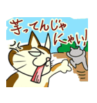 FPSねこ（個別スタンプ：1）