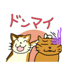 FPSねこ（個別スタンプ：5）