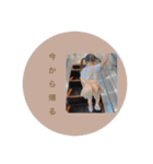 美空Part3（個別スタンプ：12）