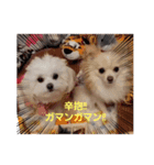 LUNA＆SEAです！！コロナに負けない！！（個別スタンプ：1）