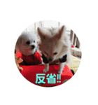 LUNA＆SEAです！！コロナに負けない！！（個別スタンプ：2）
