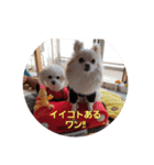 LUNA＆SEAです！！コロナに負けない！！（個別スタンプ：3）