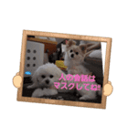 LUNA＆SEAです！！コロナに負けない！！（個別スタンプ：4）
