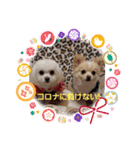 LUNA＆SEAです！！コロナに負けない！！（個別スタンプ：5）