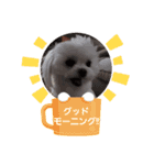 LUNA＆SEAです！！コロナに負けない！！（個別スタンプ：7）